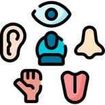 Sensory Re-integration & Re-education